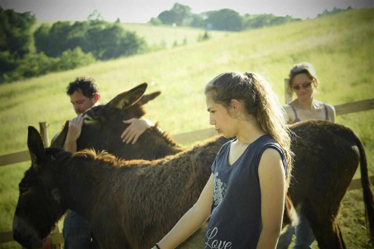 Agriturismo Montesalce Βίλα Γκούμπιο Εξωτερικό φωτογραφία