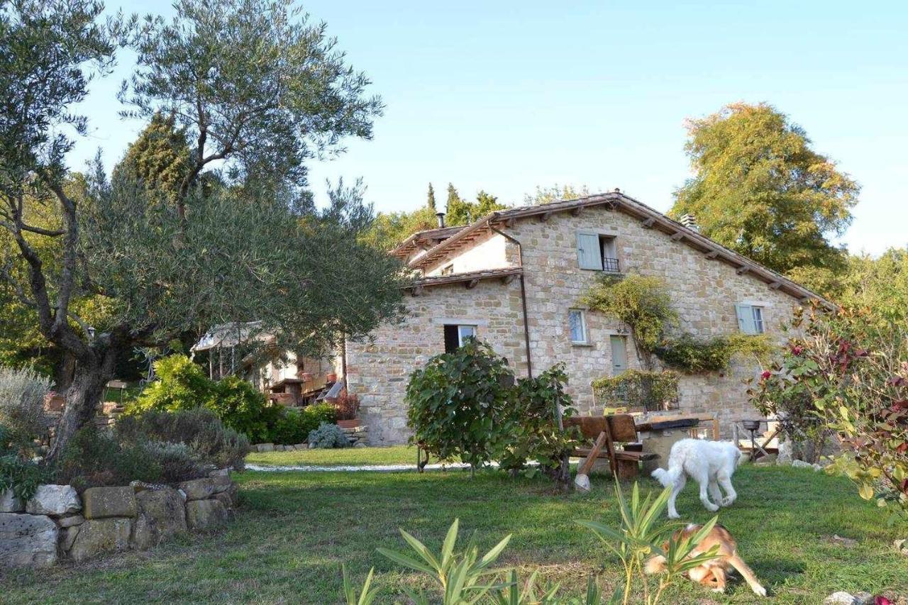 Agriturismo Montesalce Βίλα Γκούμπιο Εξωτερικό φωτογραφία